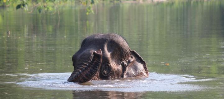 Benessere & Senzienza degli Animali